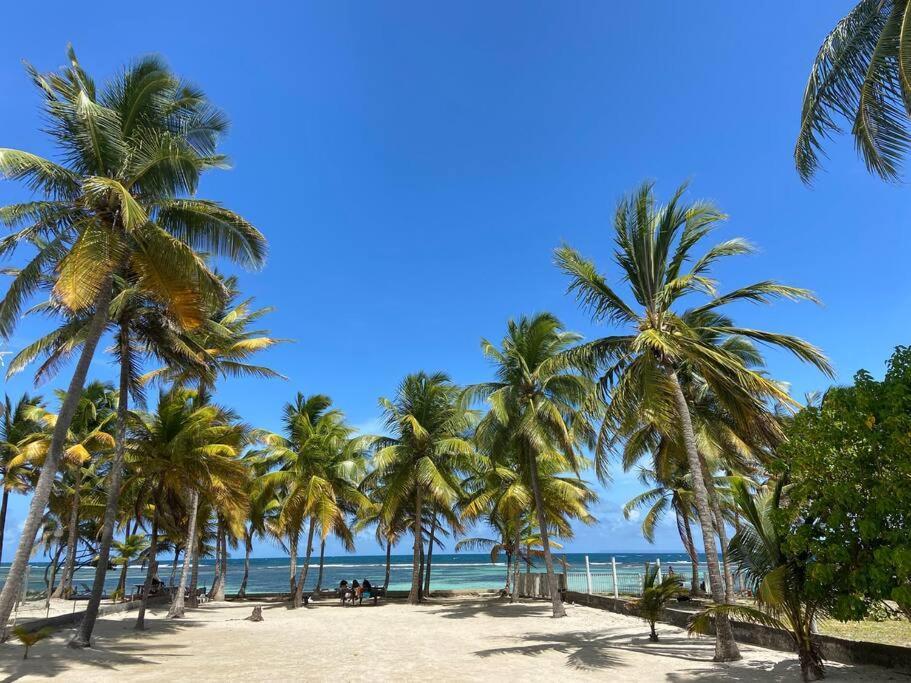 Le Cottage De Castaing Sur Plage Privee Sainte-Anne  Exterior foto